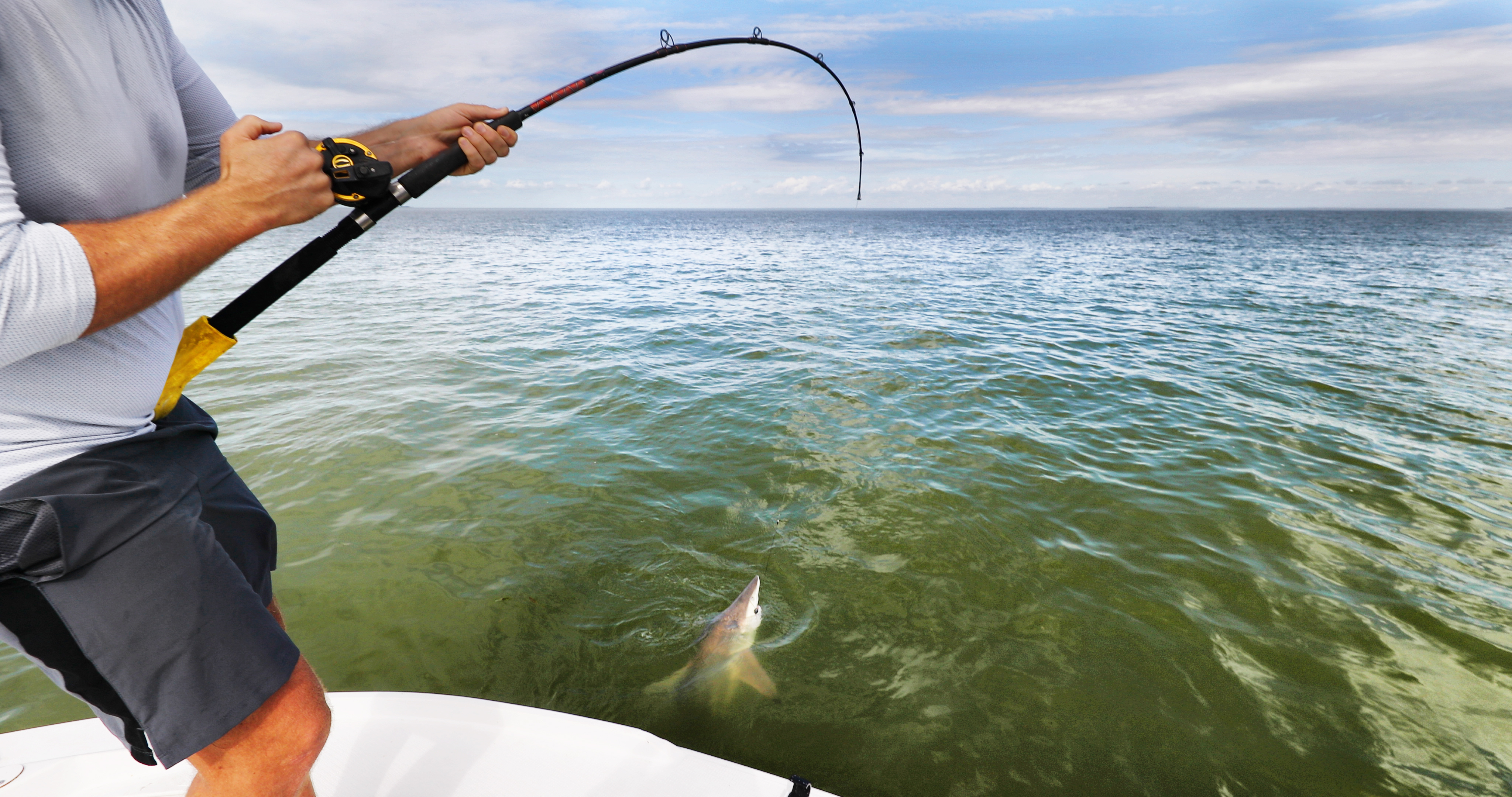 Best Deep Sea Fishing Rods Best Deep Sea Fishing Rods