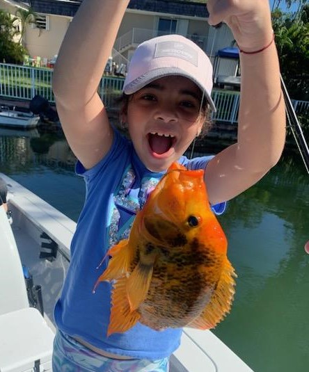 Cichlid