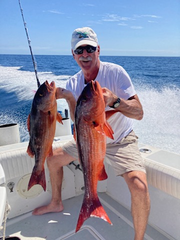 Mullet Snapper