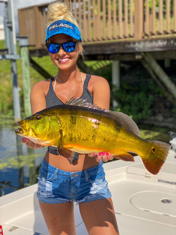 Peacock Bass