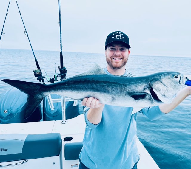 Bluefish