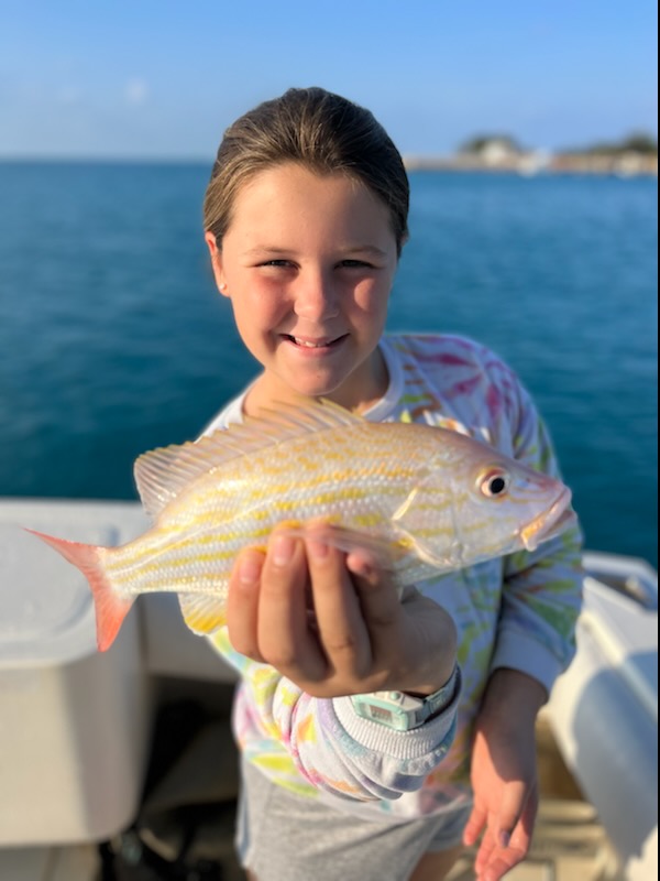 Lane Snapper