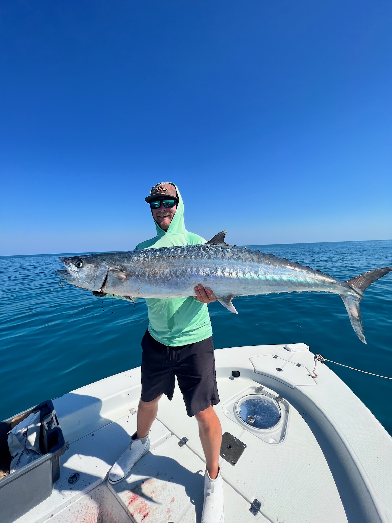 Kingfish