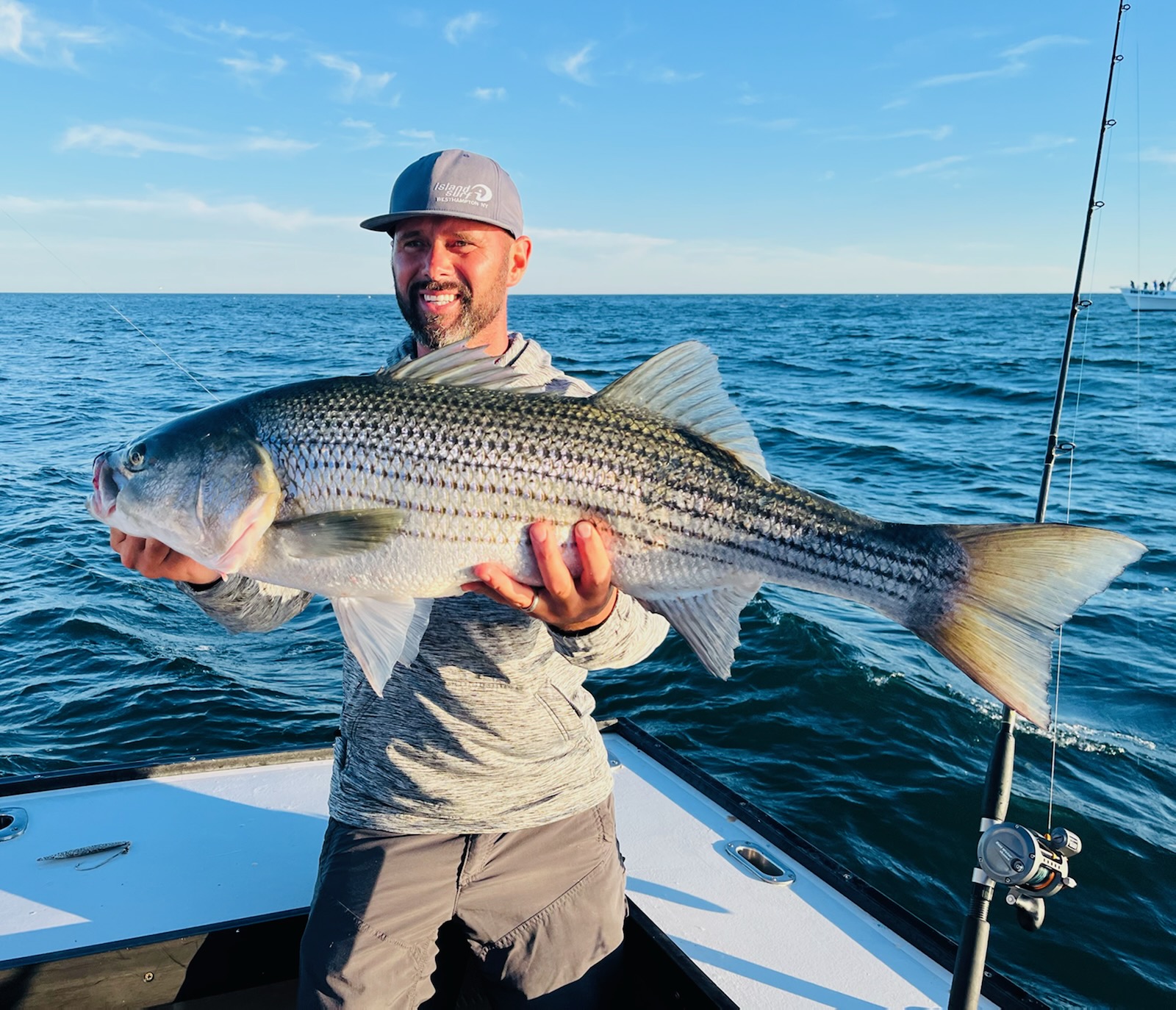 Striped Bass