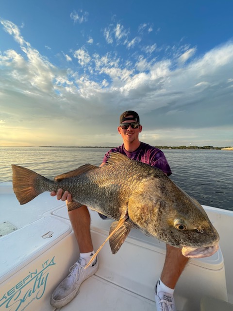 Black Drum