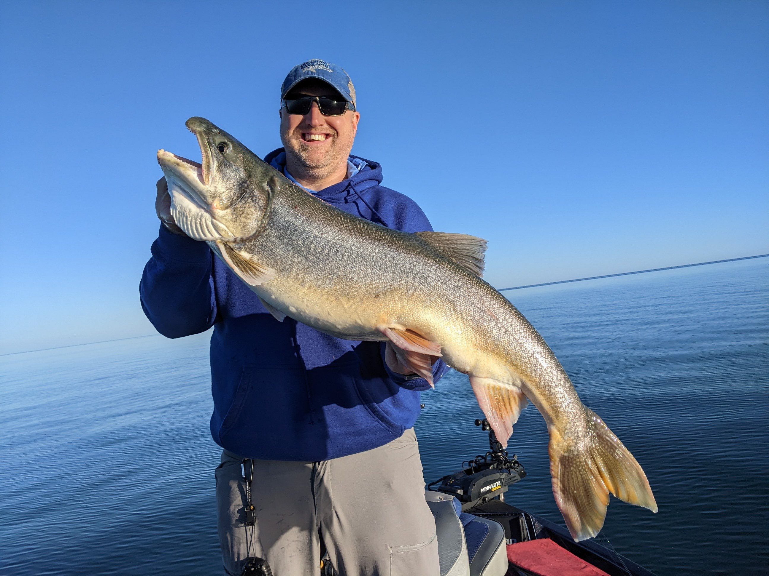 Lake Trout