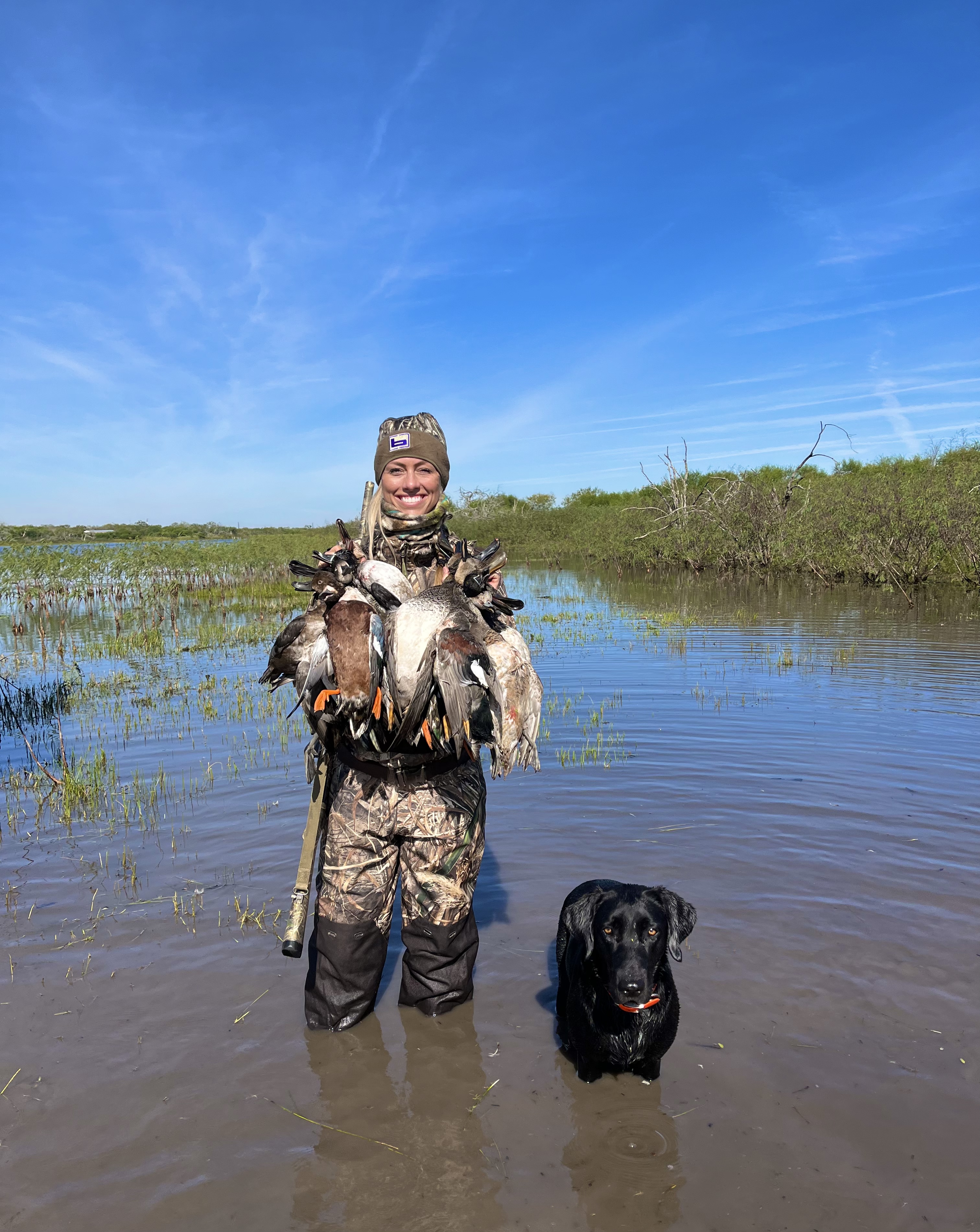 Hunting With Dogs