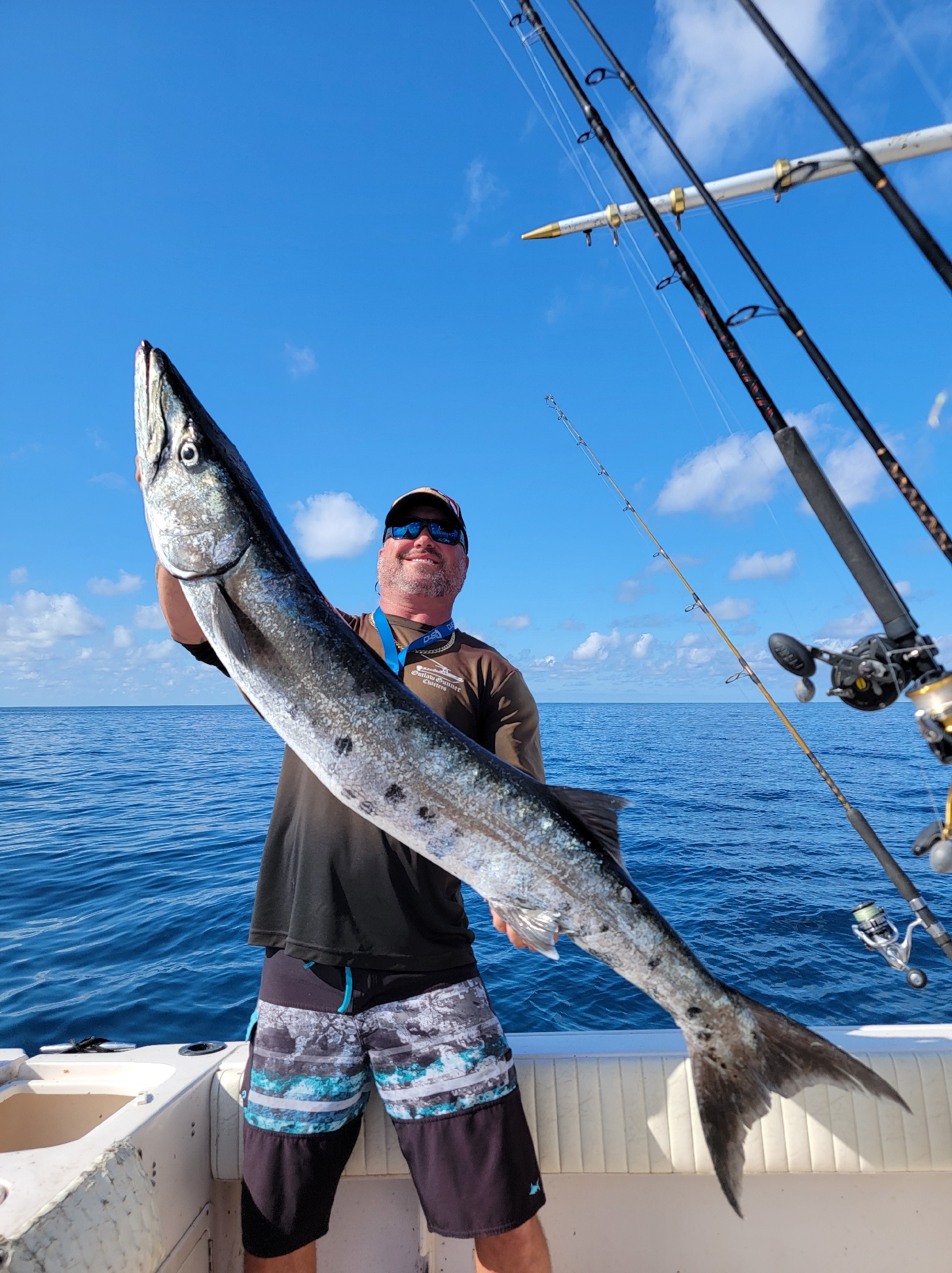 Barracuda