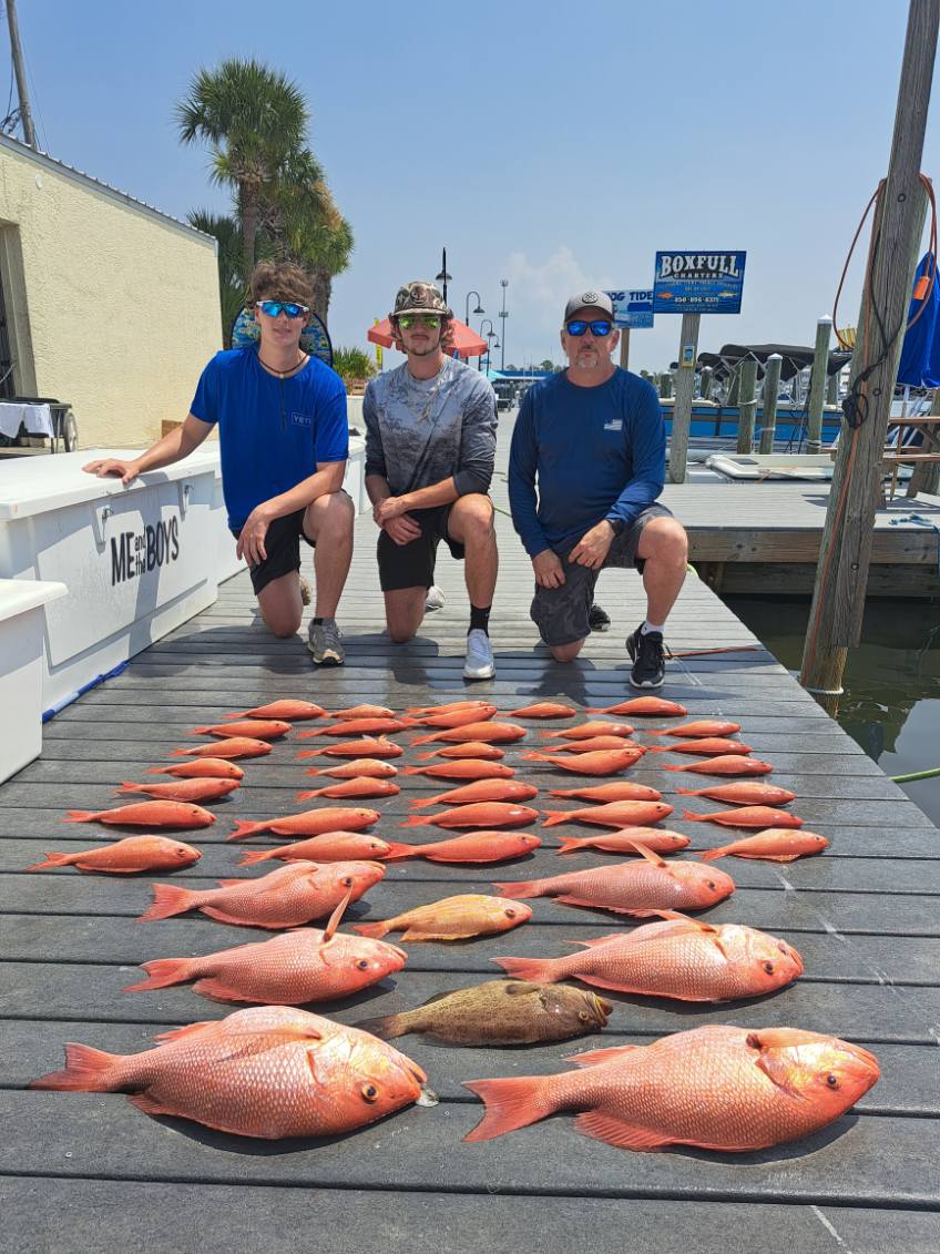 Vermillion Snapper