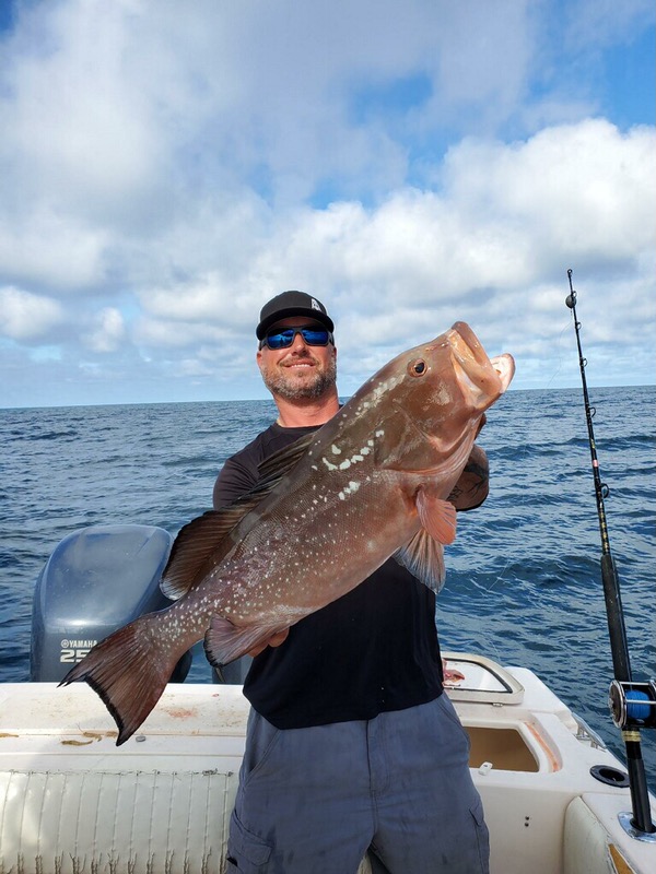 Red Grouper