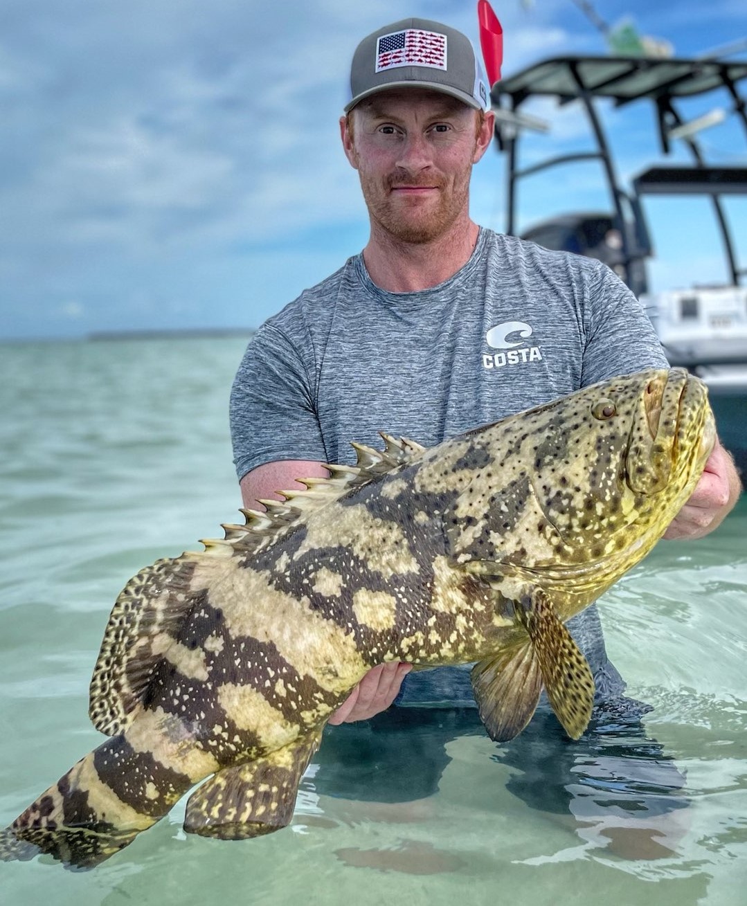 Goliath Grouper