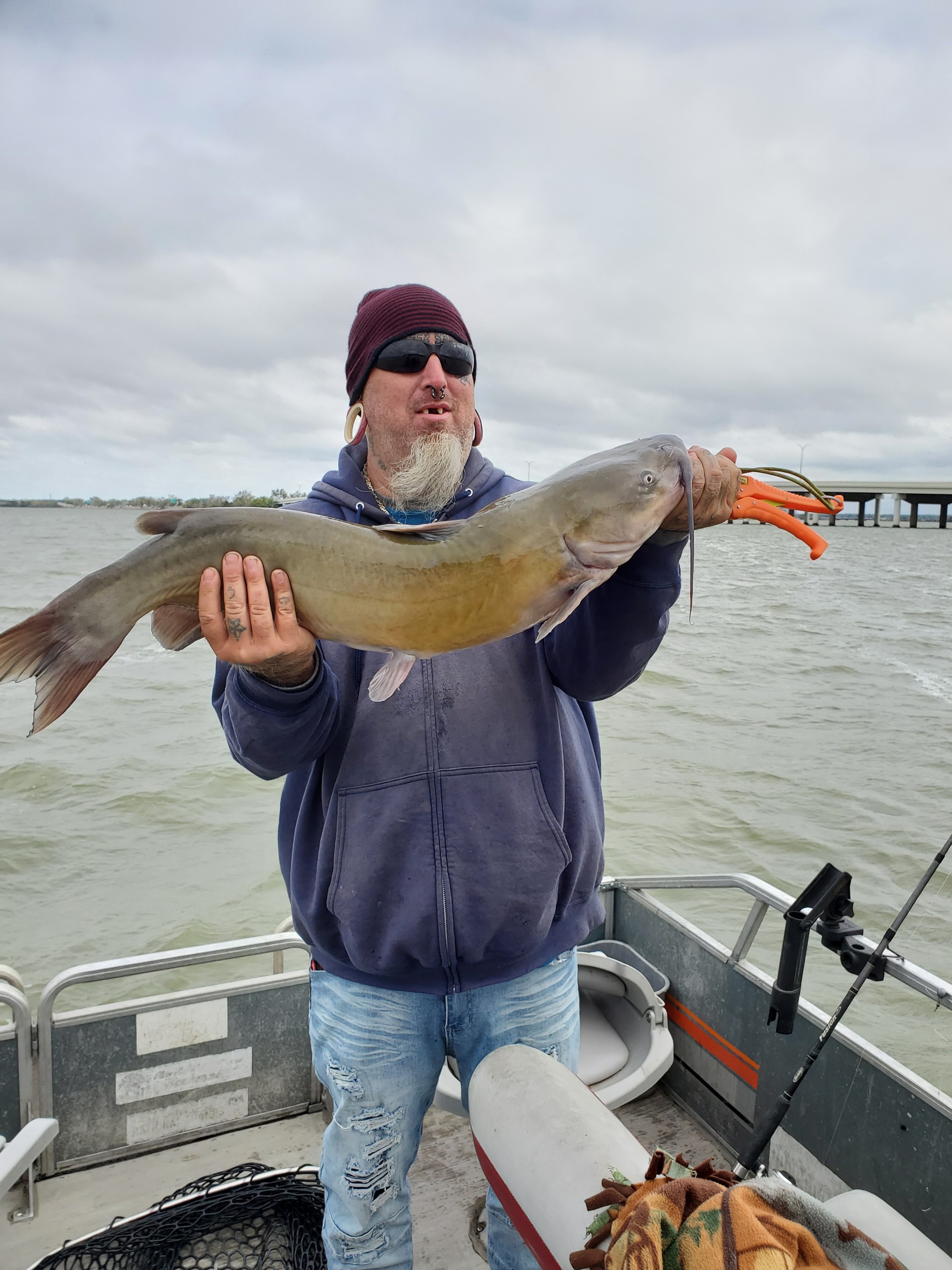Channel Catfish
