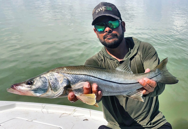Snook