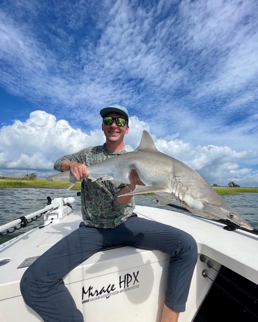 Bonnethead Shark
