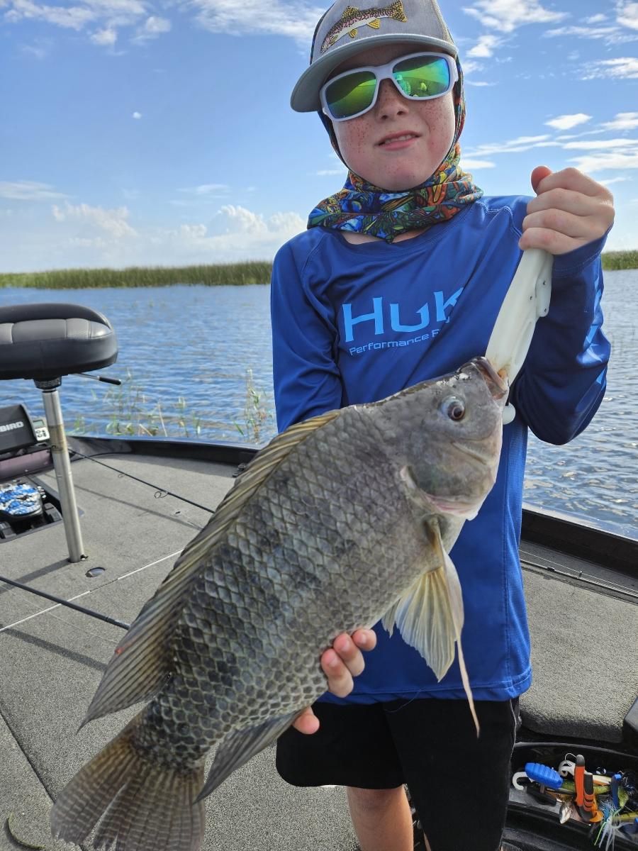 Tilapia