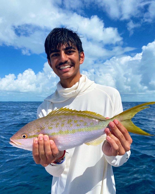 Yellowtail Snapper