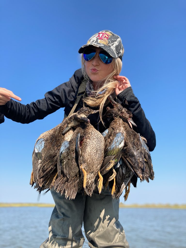 Blue-Winged Teal