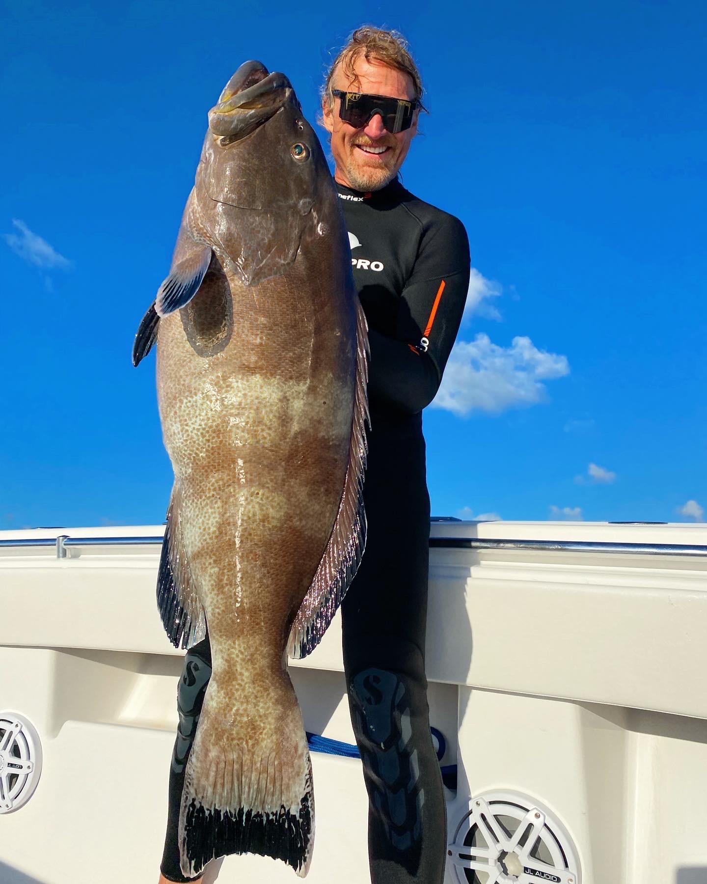 Black Grouper