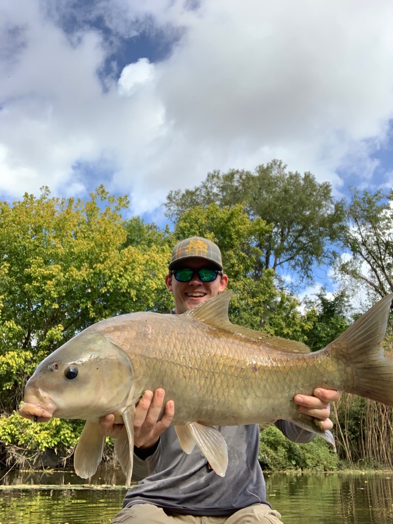 Smallmouth Buffalo