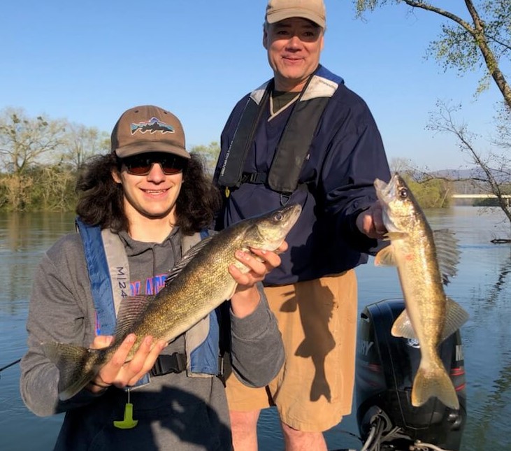 Sauger