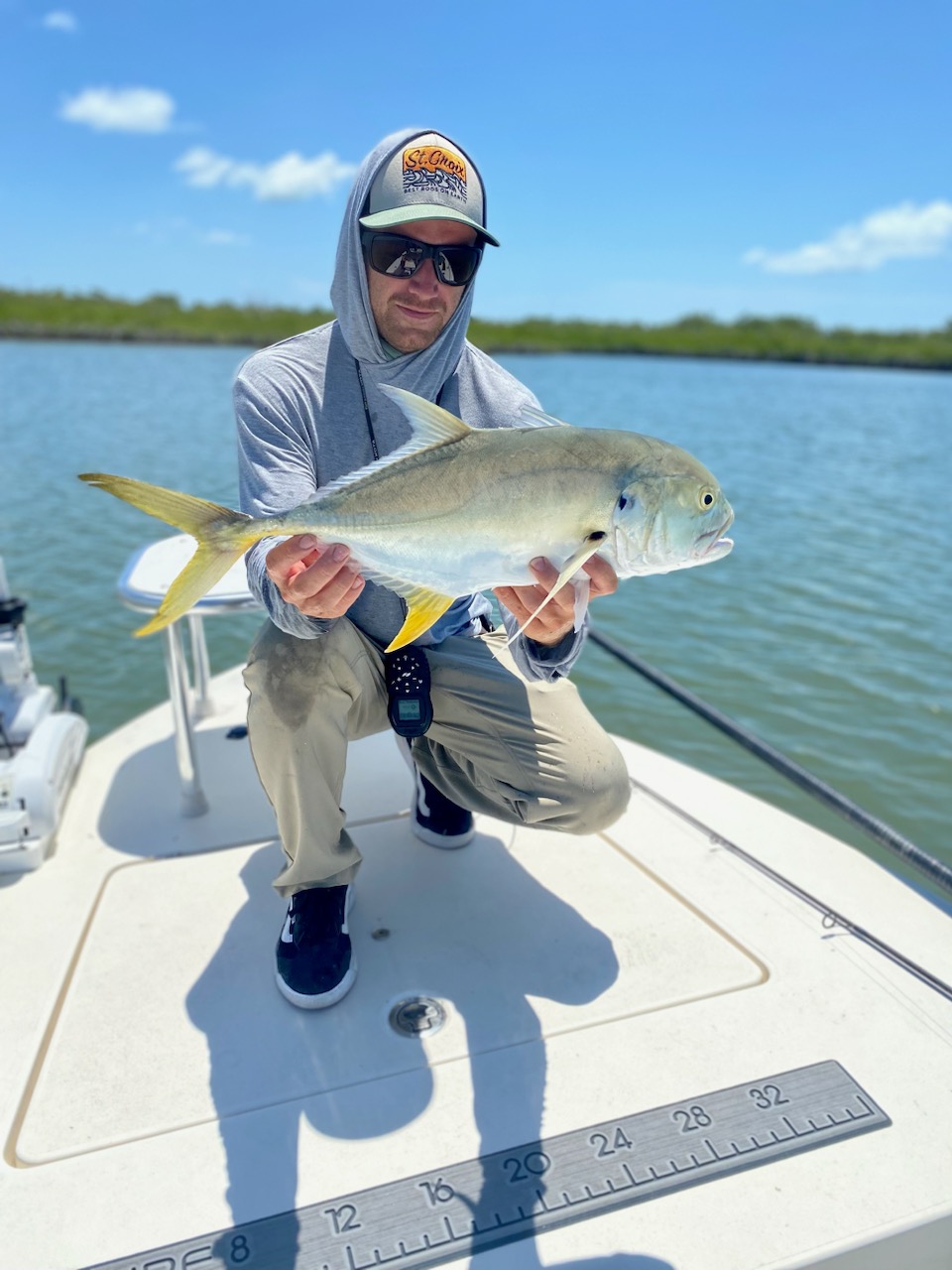 Jack Crevalle