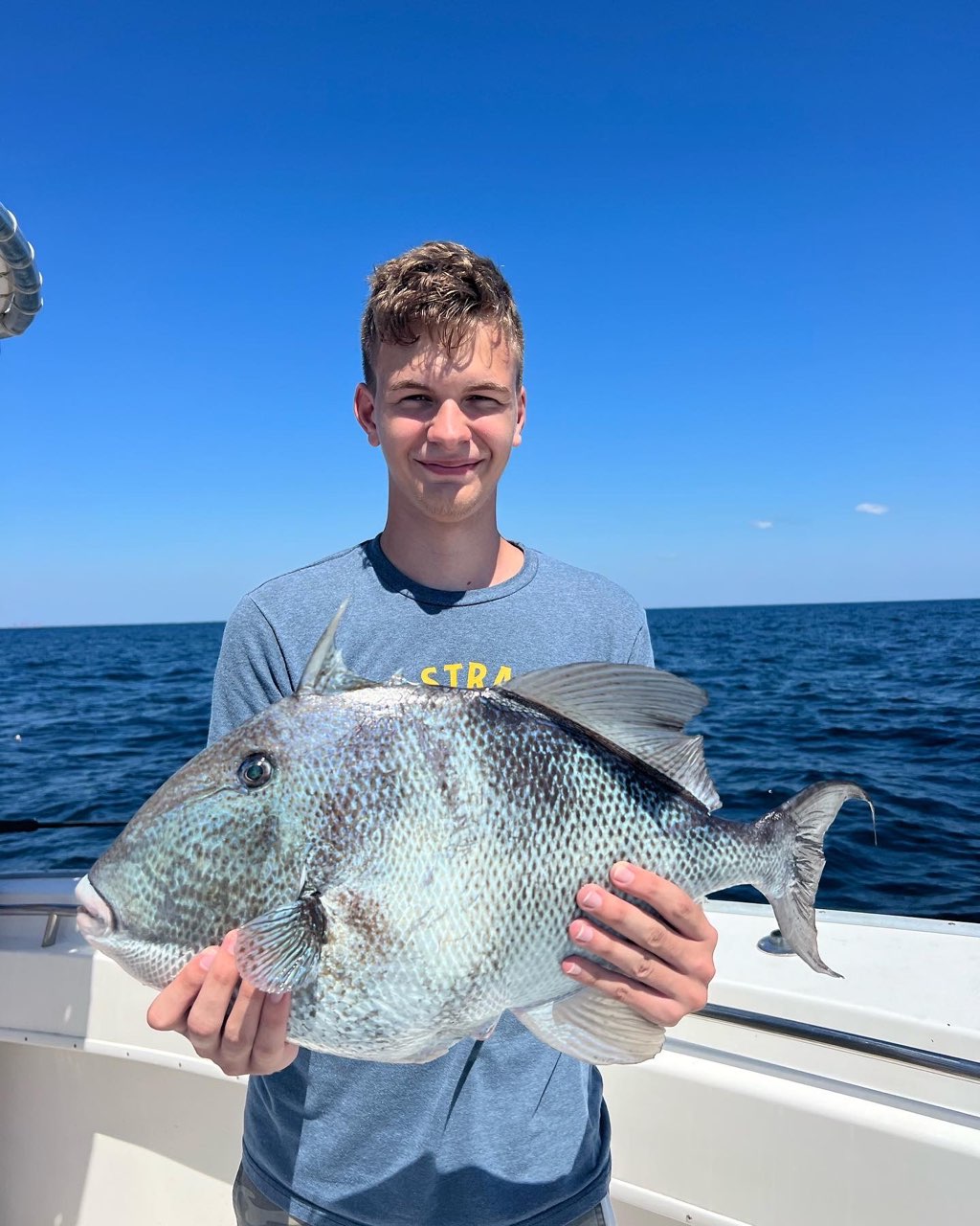 Triggerfish