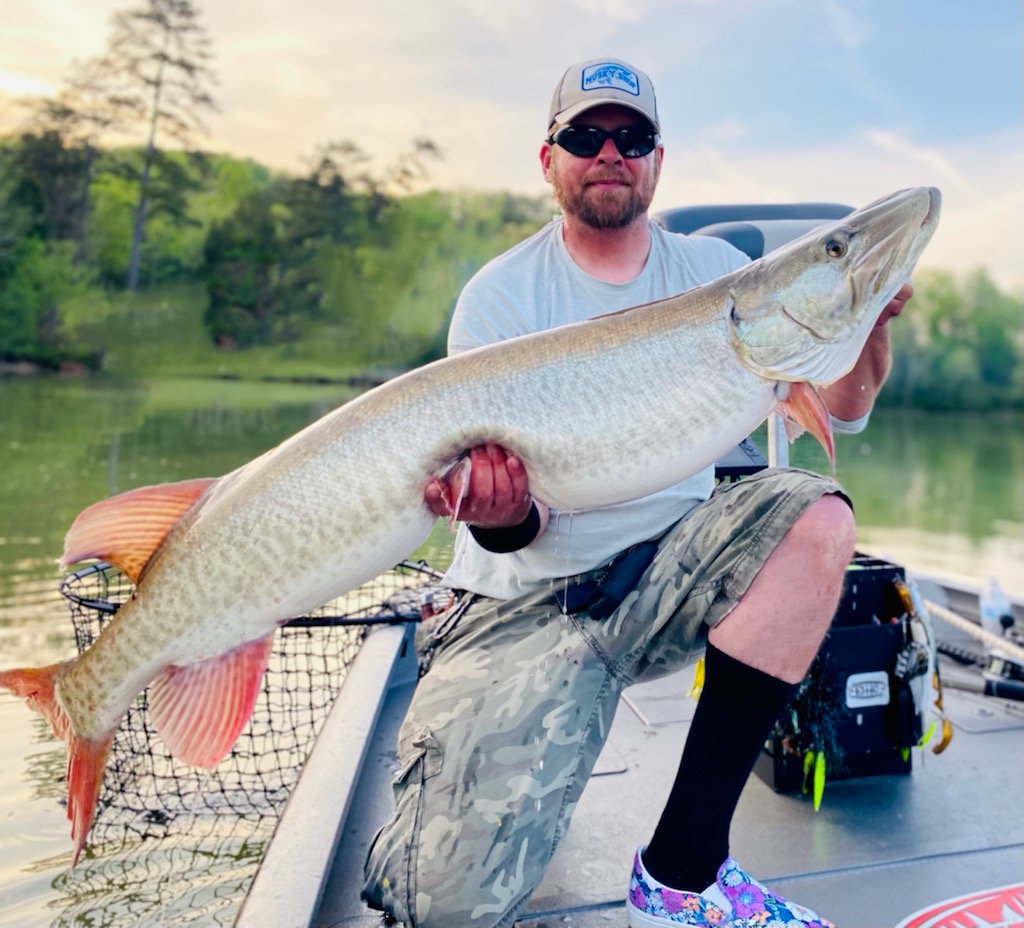 Muskie