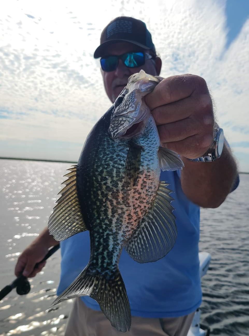 Crappie