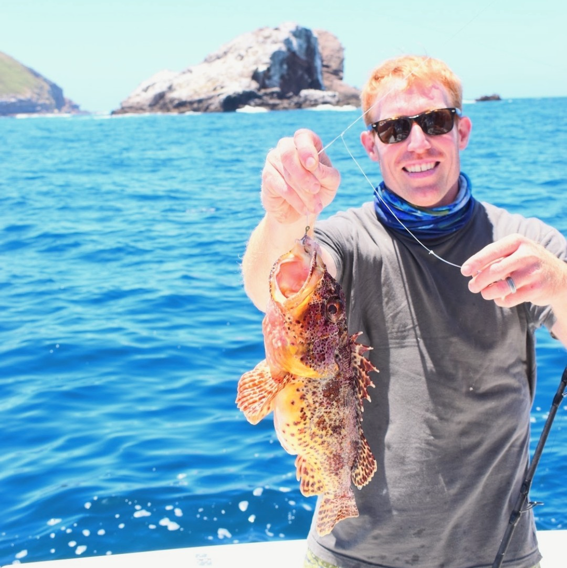 Sculpin