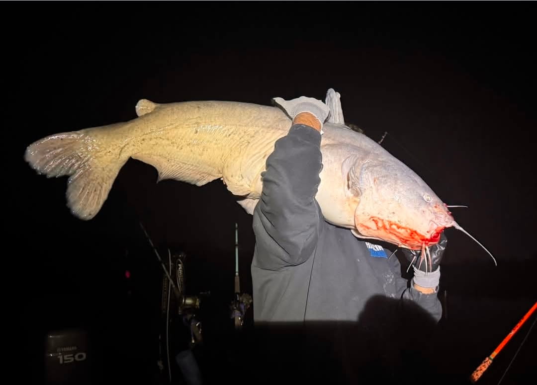 Richland-Chambers Reservoir Fishing Reports (February 2026)