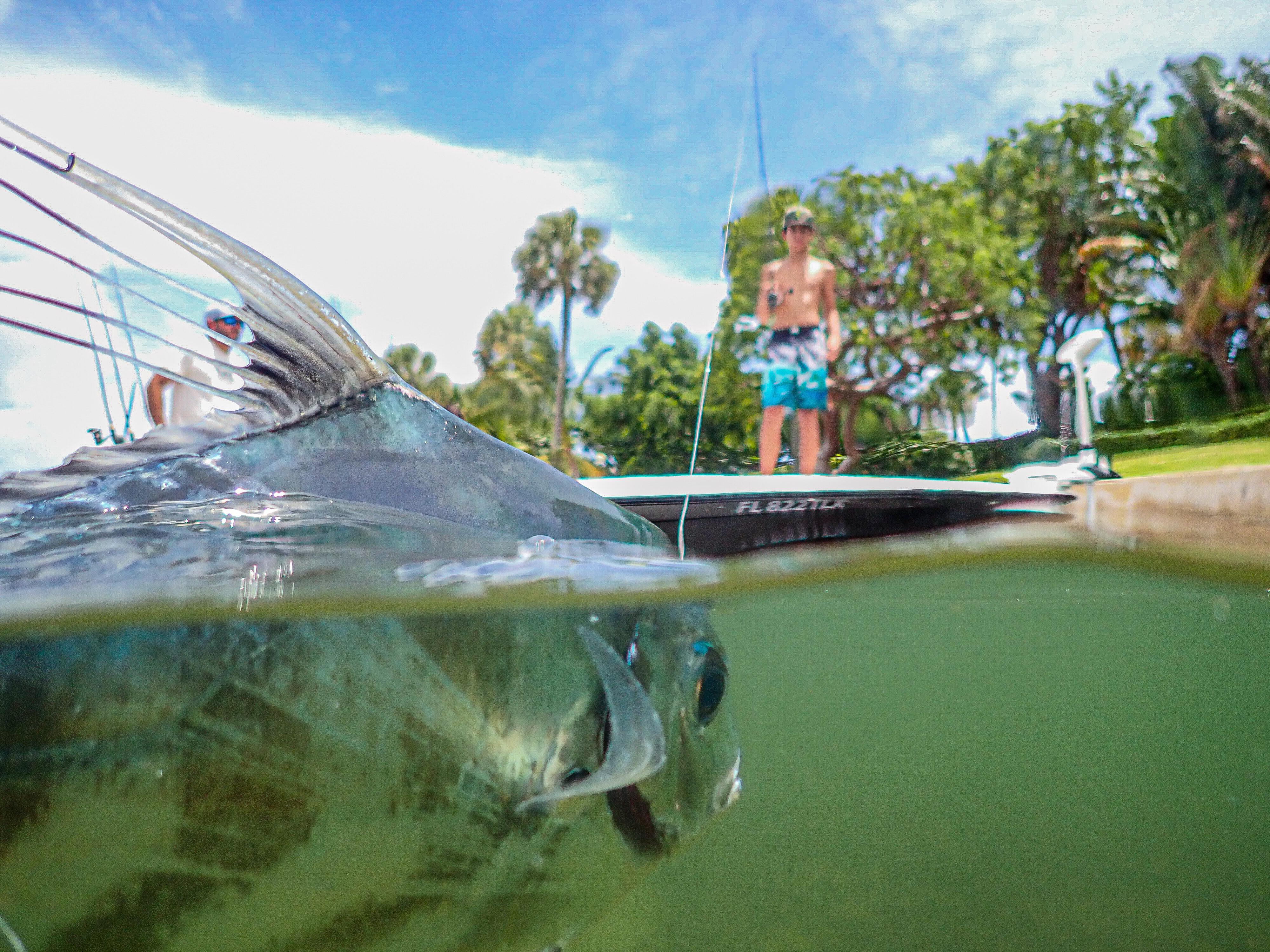 African Pompano