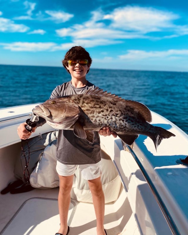 Gag Grouper