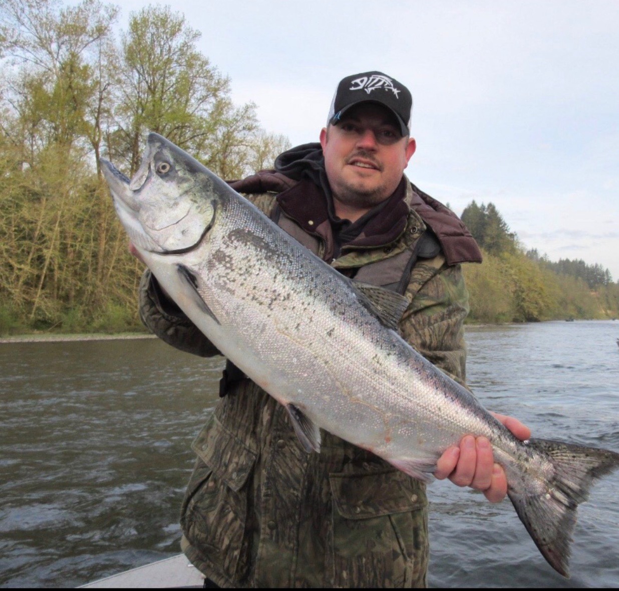 Coho Salmon