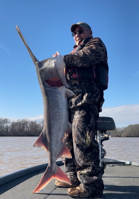 Paddlefish