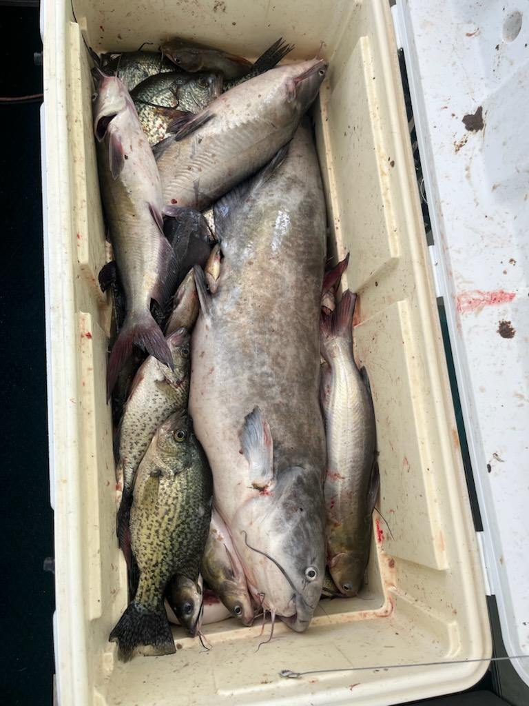 Sam Rayburn Reservoir Fishing Reports (January 2026)