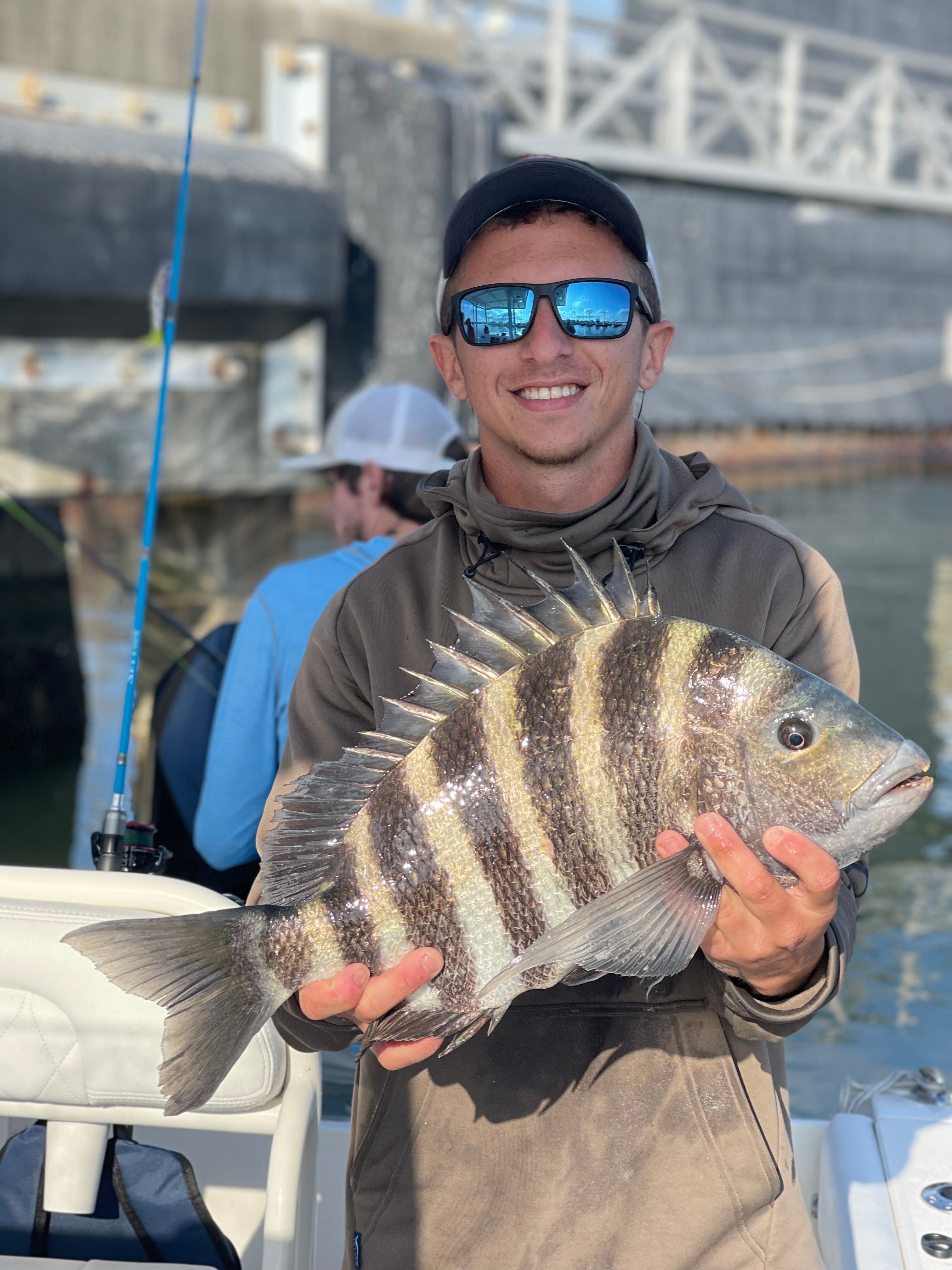 Sheepshead