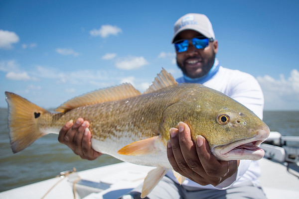 Texas Redfish