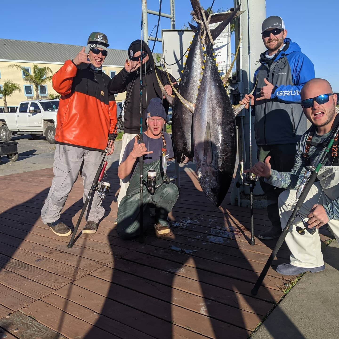 Venice Yellowfin