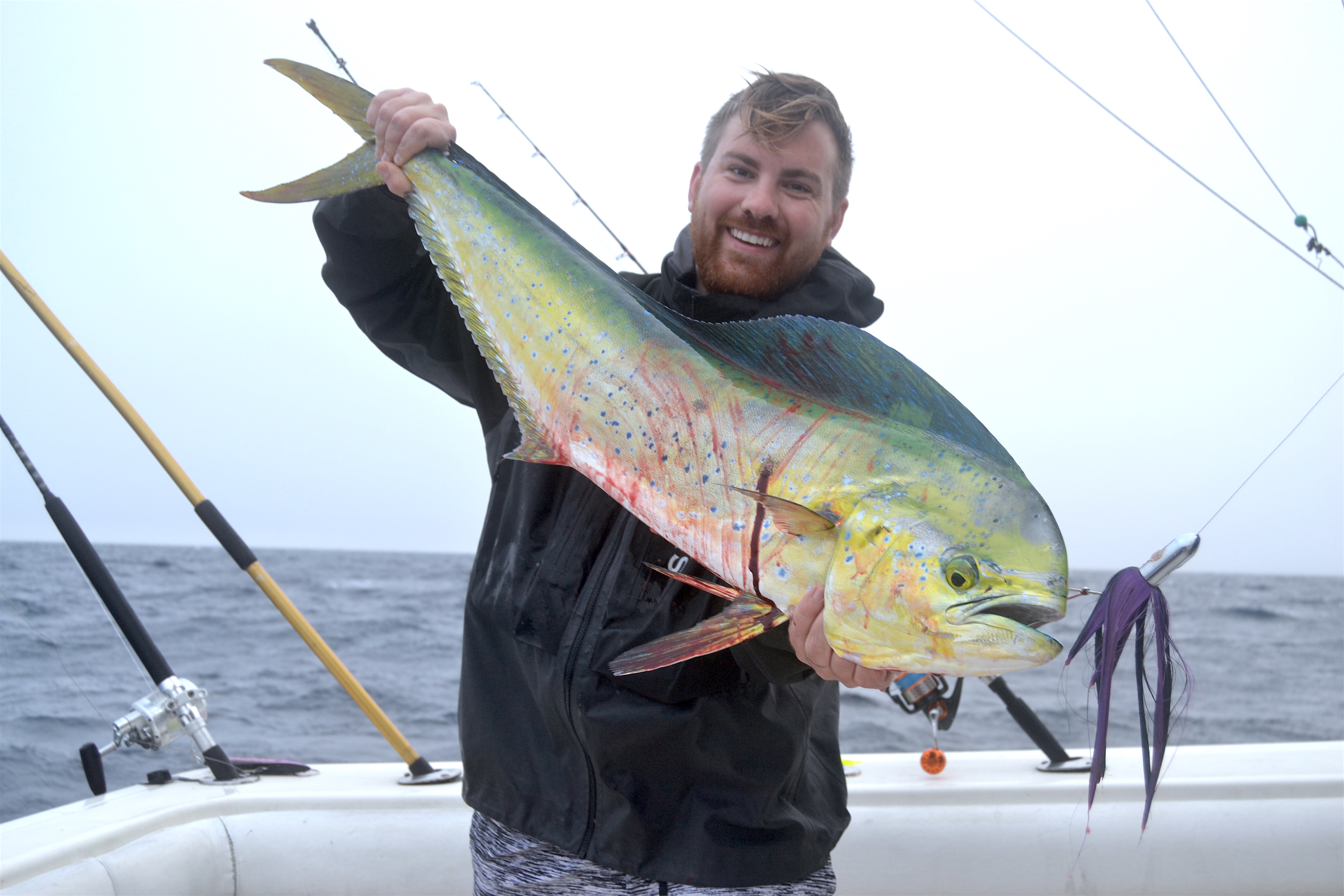 mahi mahi offshore fishing