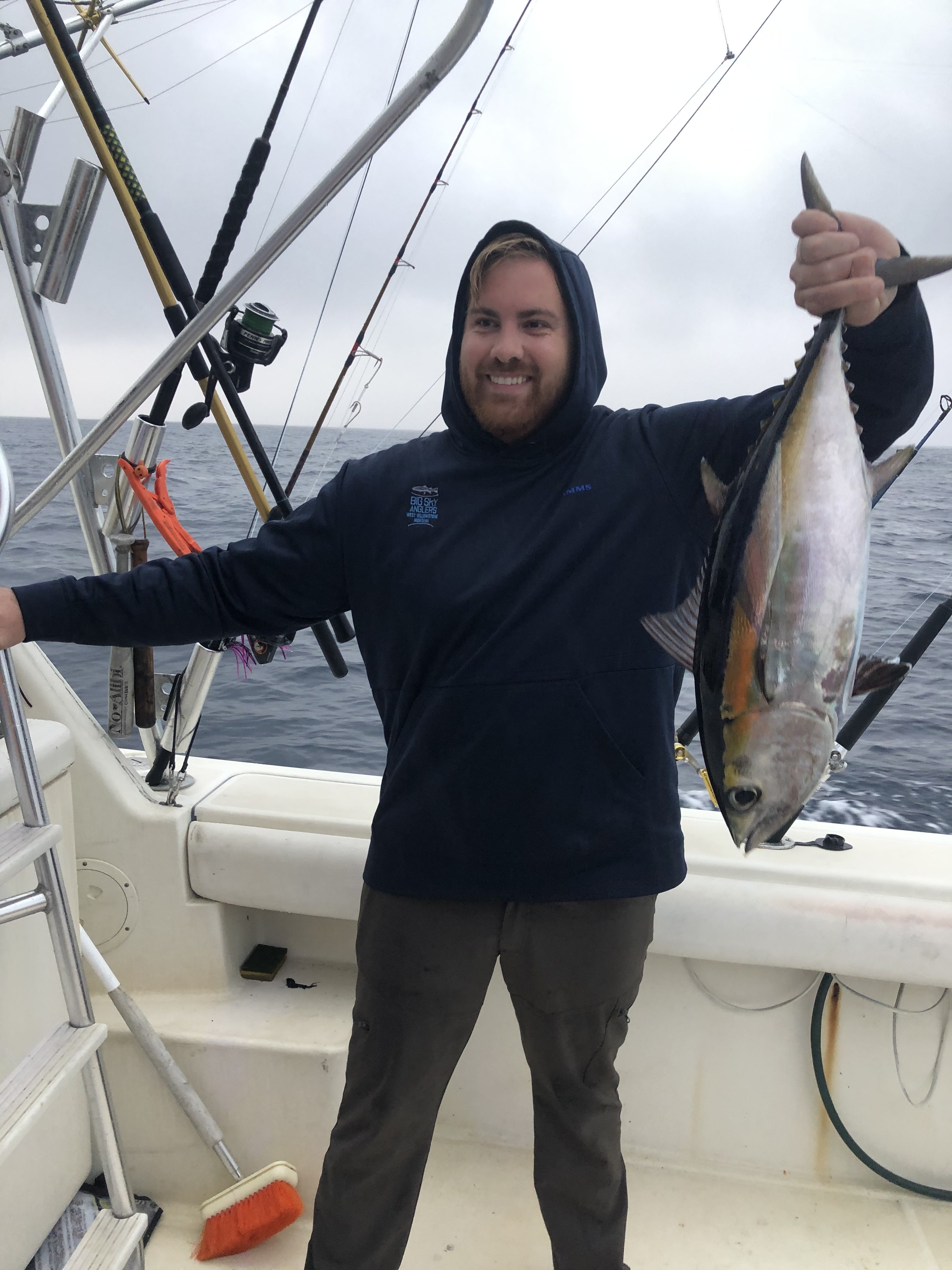 blackfin tuna