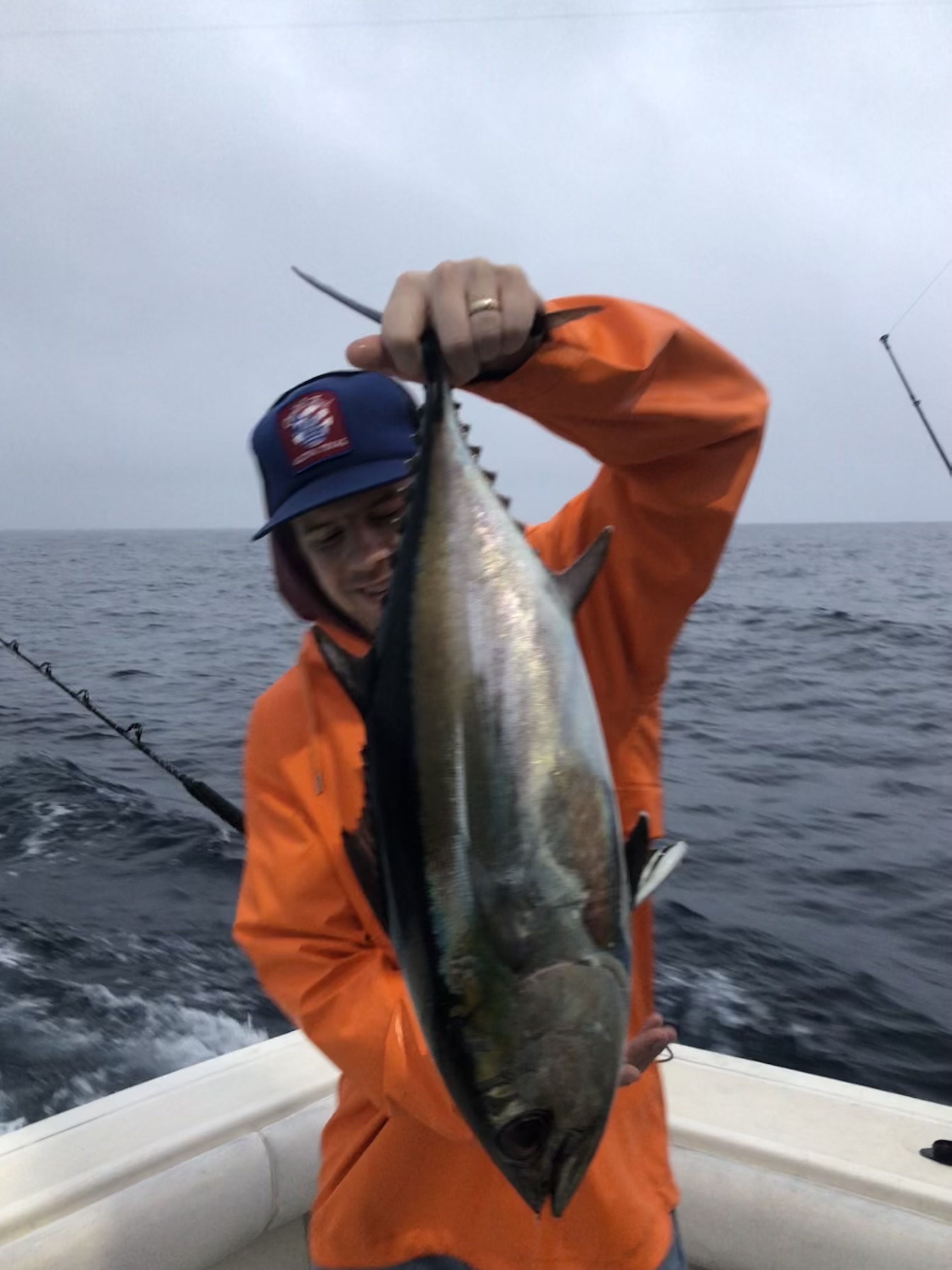 texas blackfin tuna