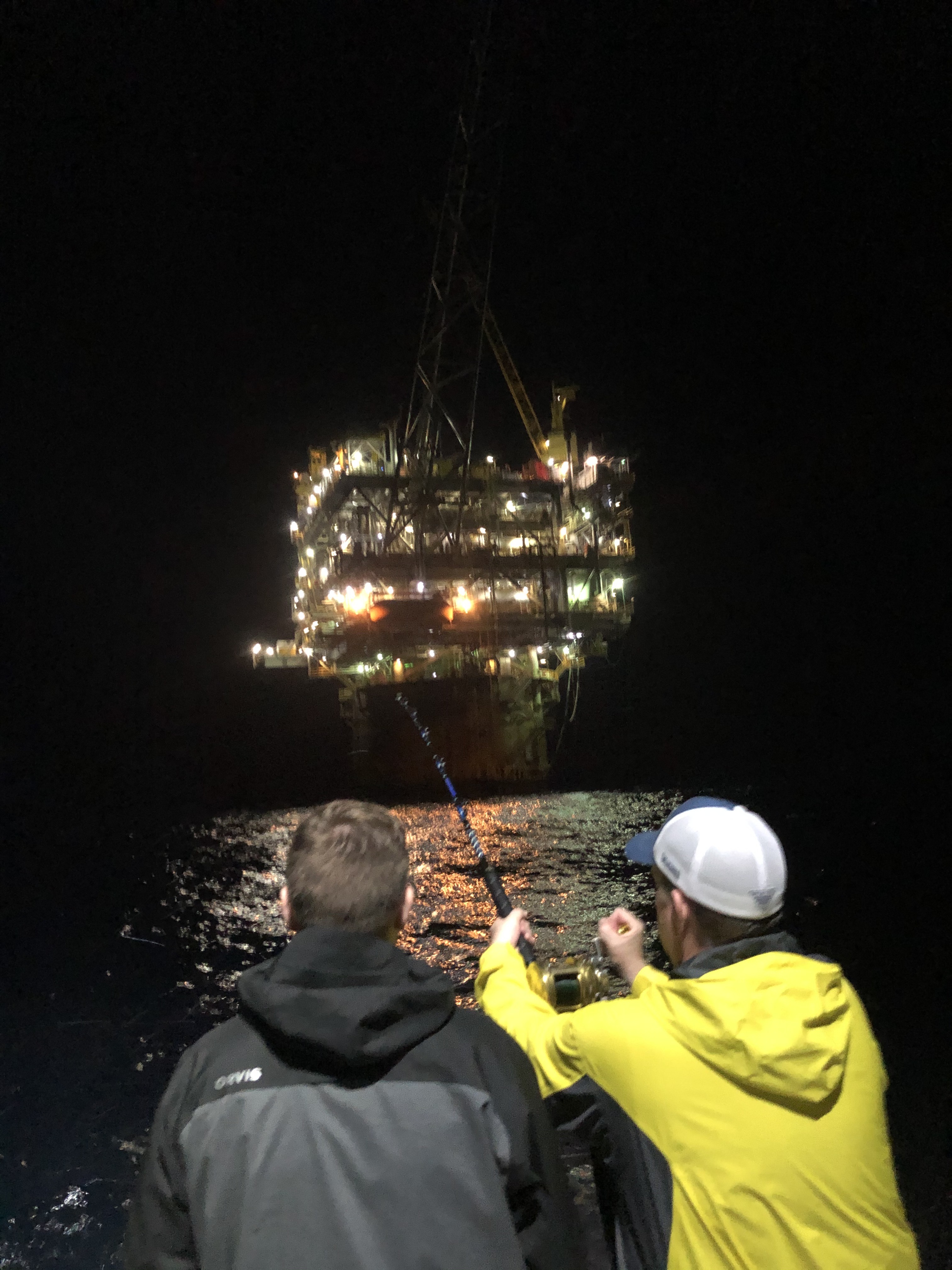 yellowfin tuna fight