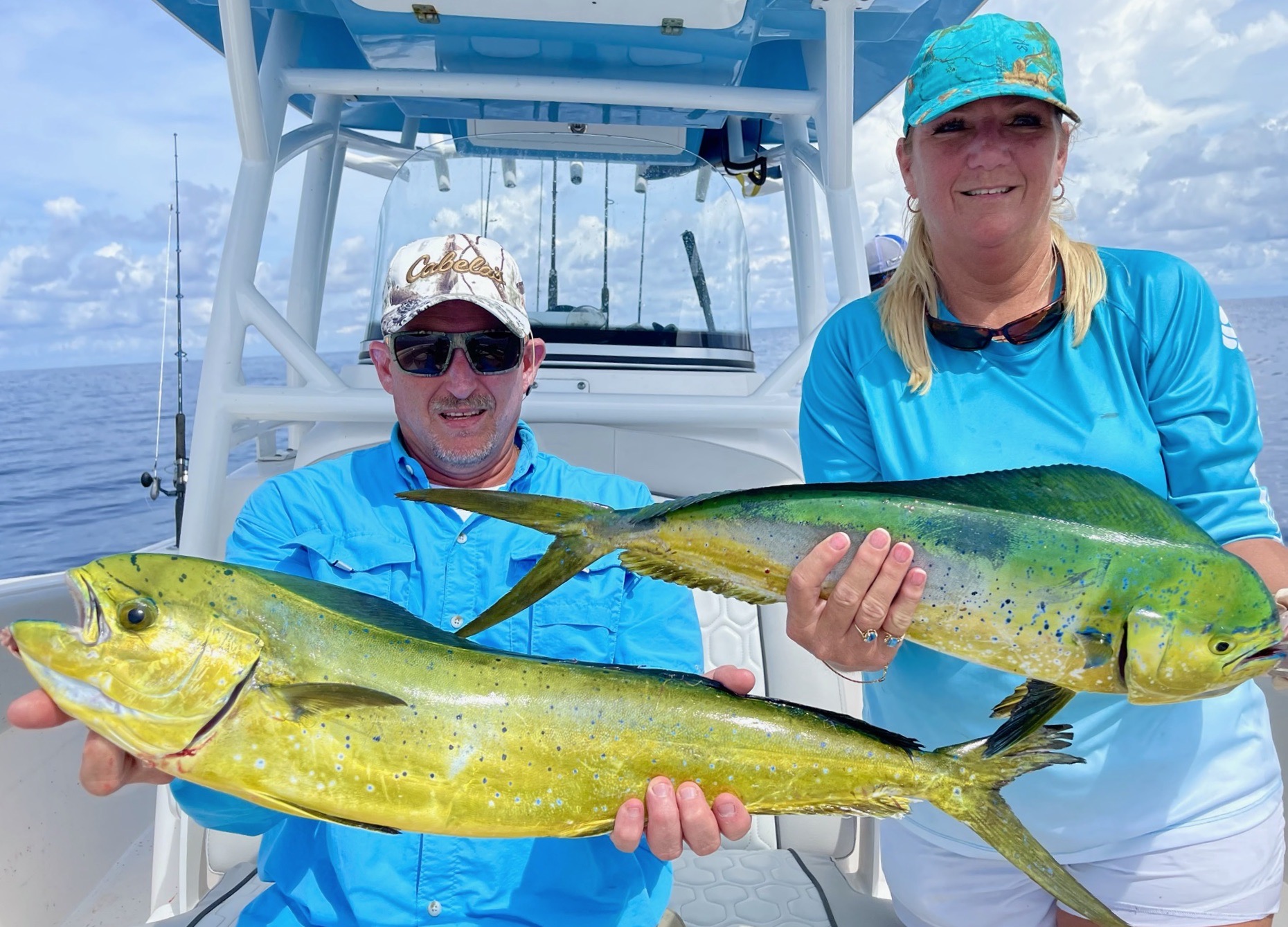 Everything You Need to Know About Mahi Mahi Season 2022