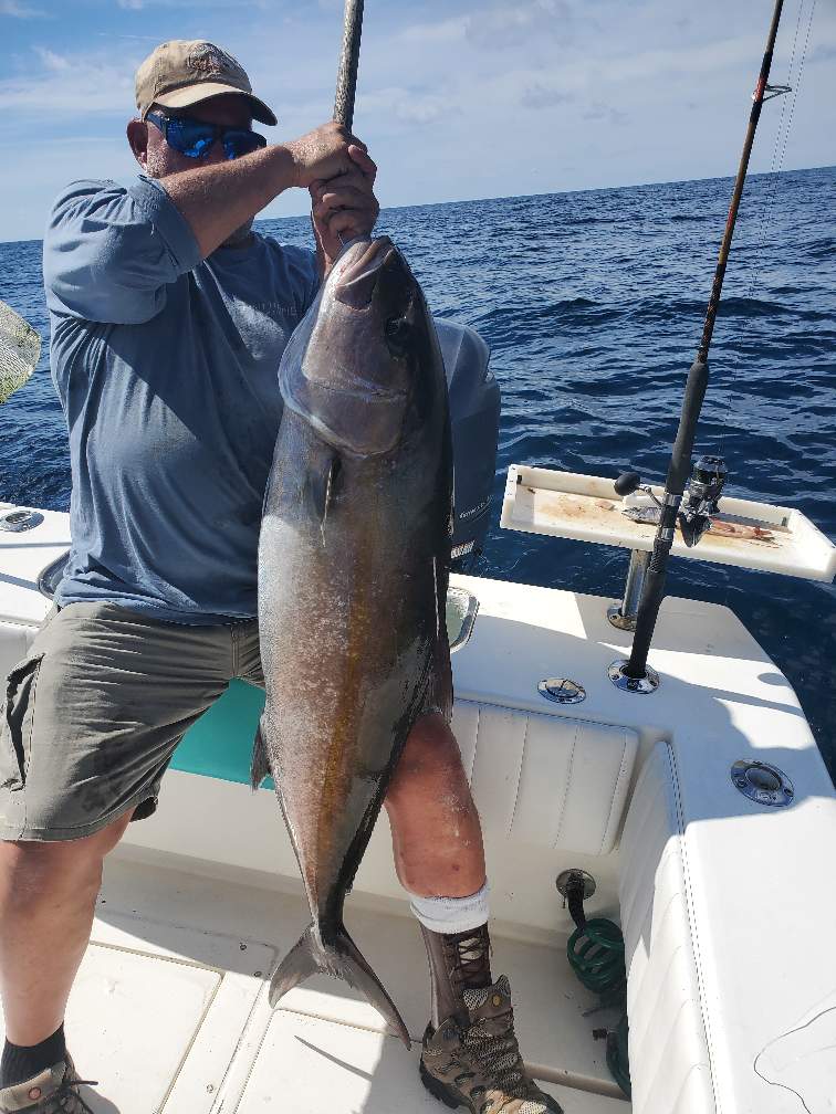 amberjack