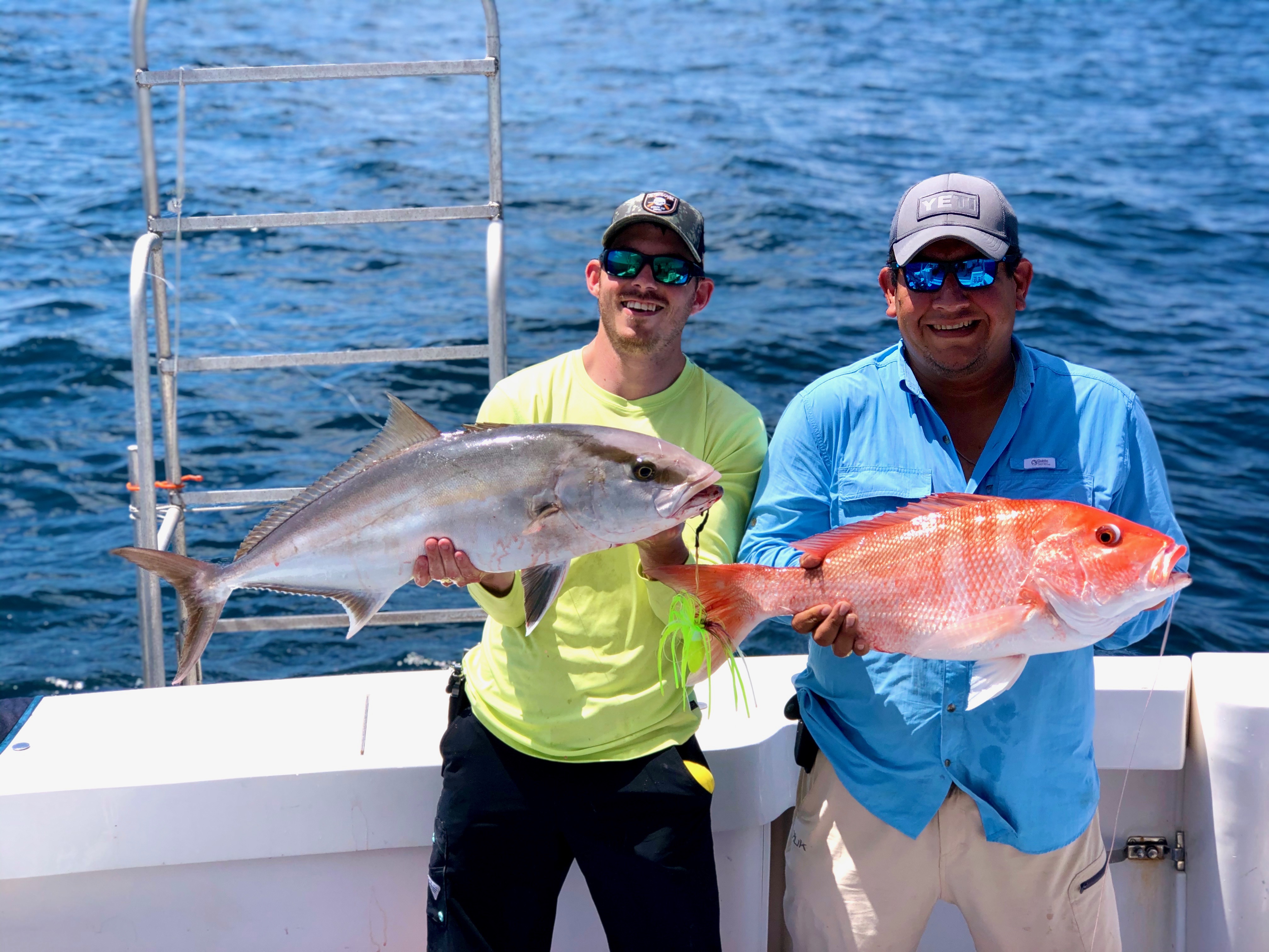amberjack and snapper
