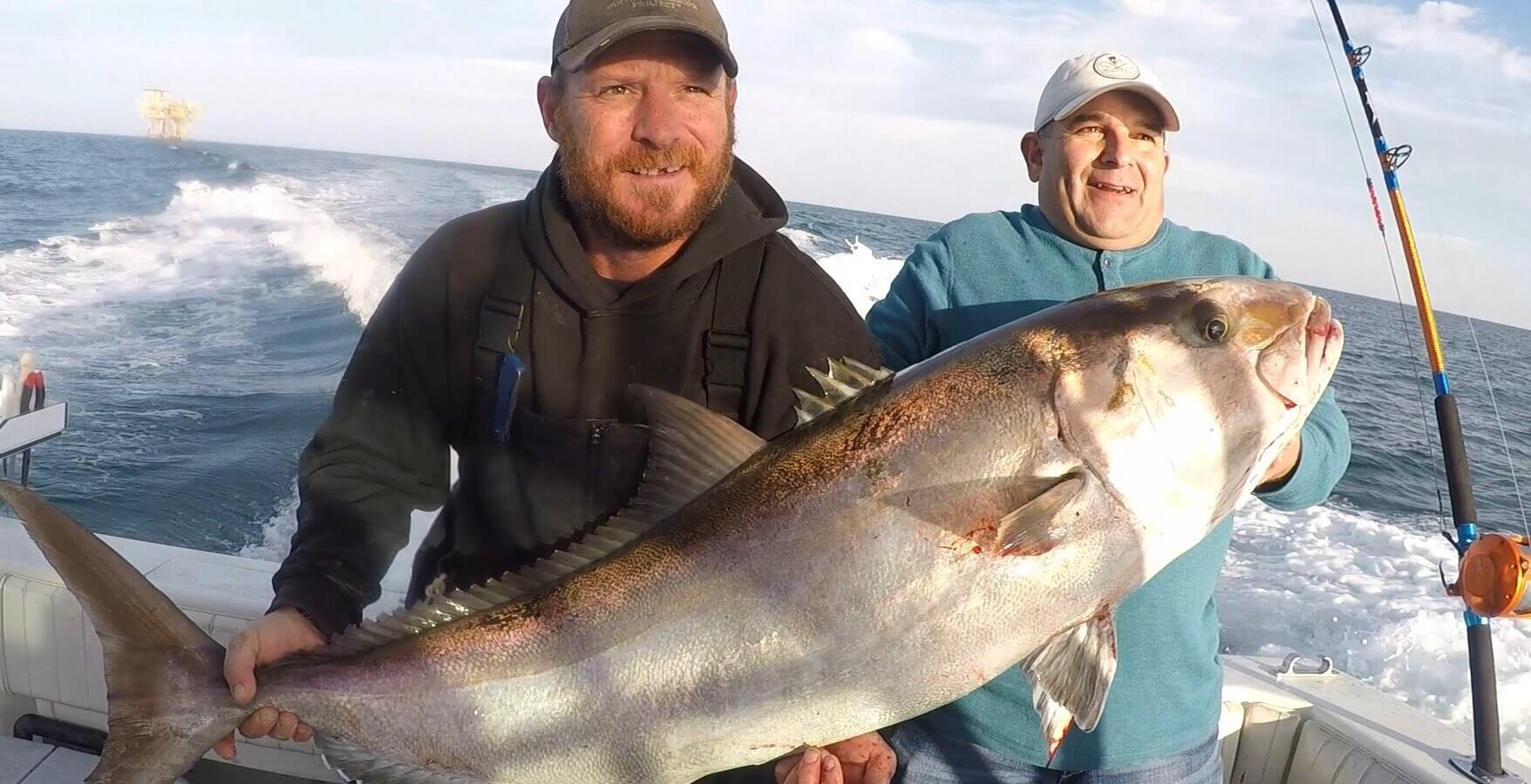 big amberjack