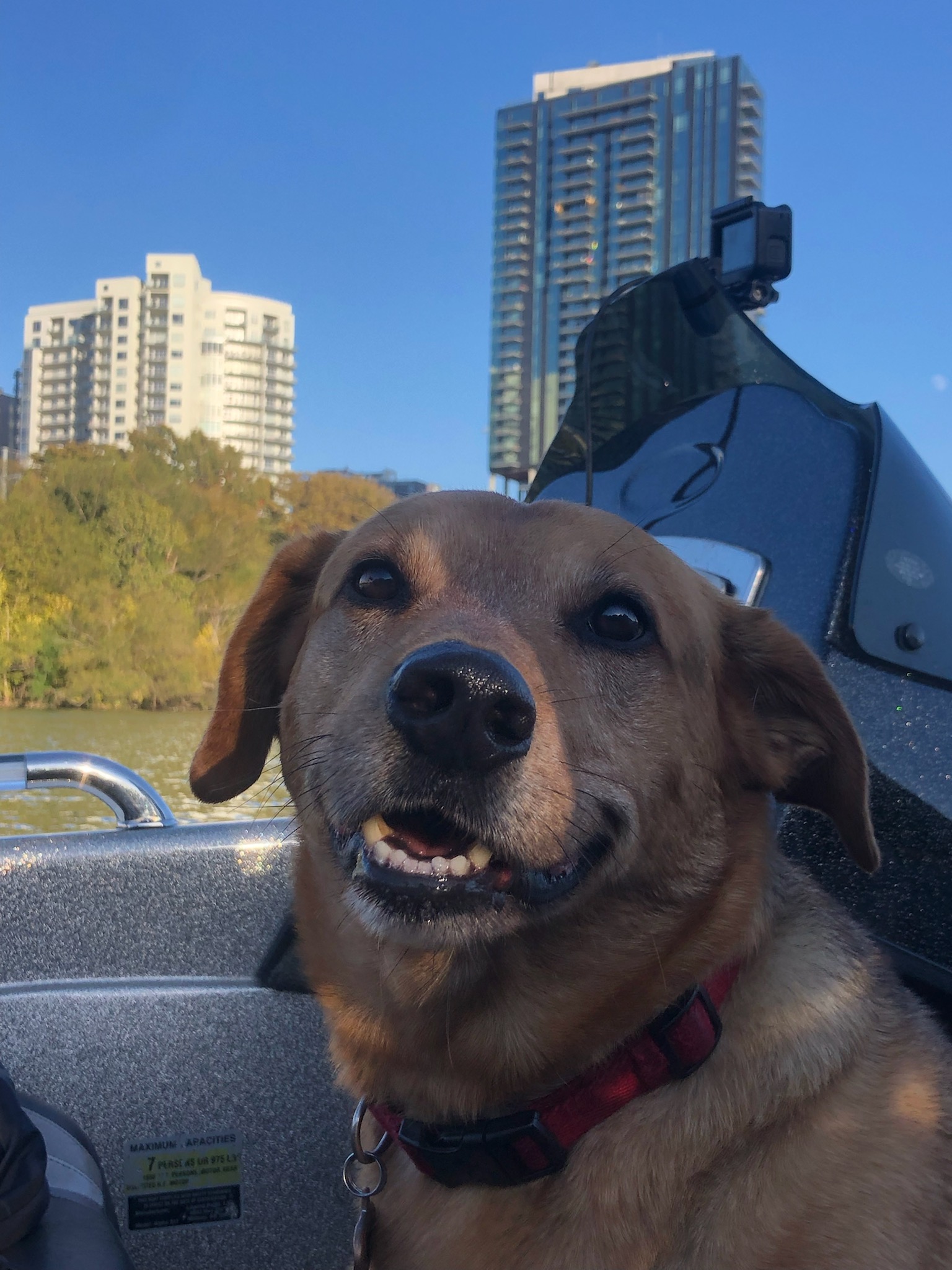 picture-of-finn