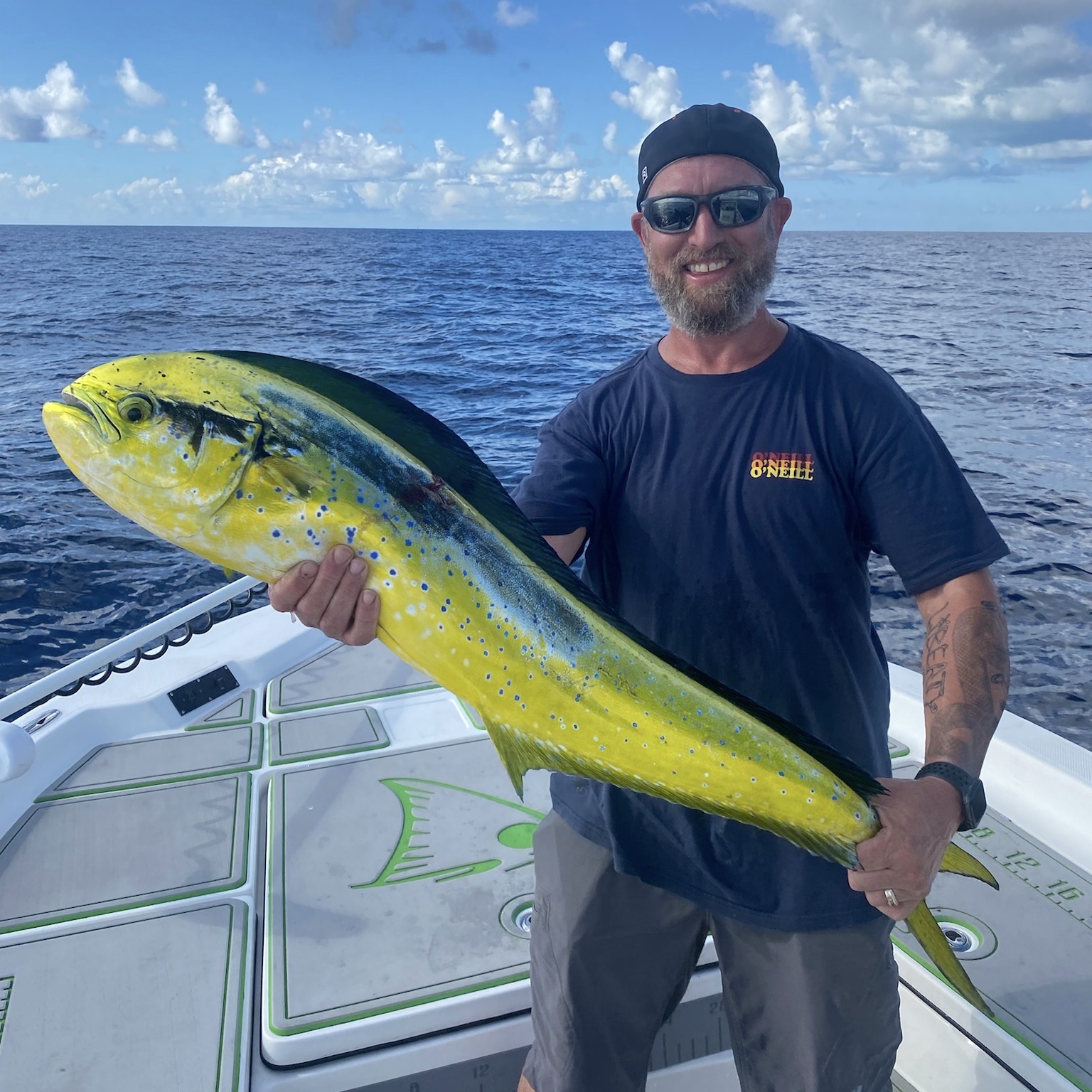 Miami Mahi Mahi