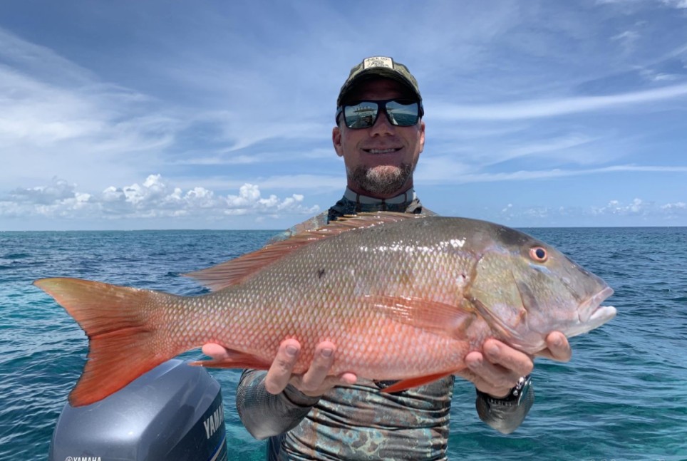 Miami Snapper