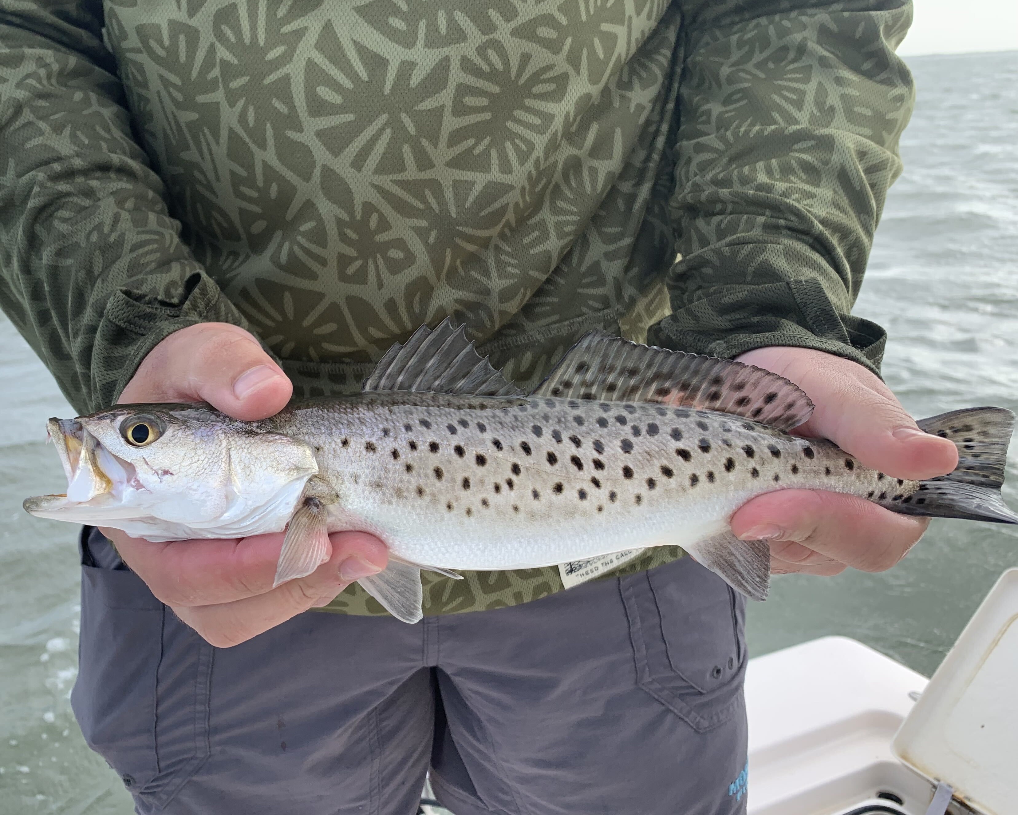 Trout Spots